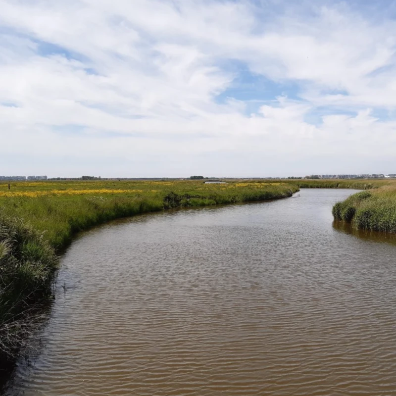 Water Balance Study and Audit Compliance Service India