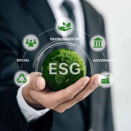 ESG Materiality Assessment Service India Online
