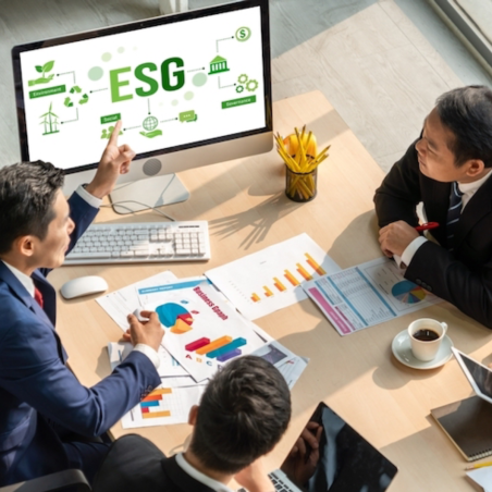 ESG Due Diligence Advisory Service in India Online