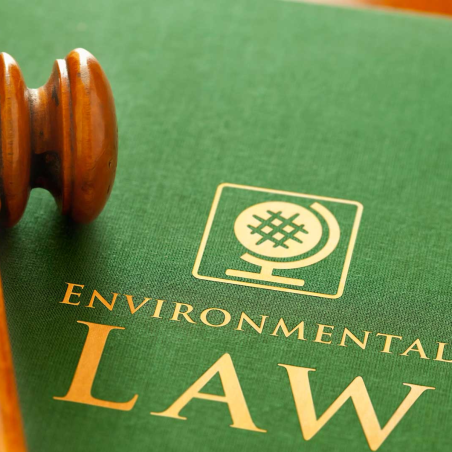 Environmental Laws Training Service in India Online