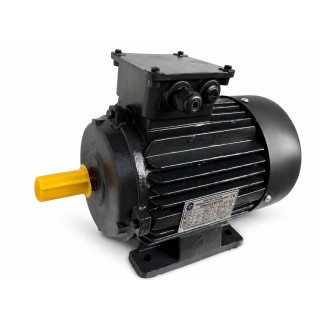 Unicorn 5 HP Three Phase Foot Mounted S4 Duty Induction Motor, 100L | EnvMart