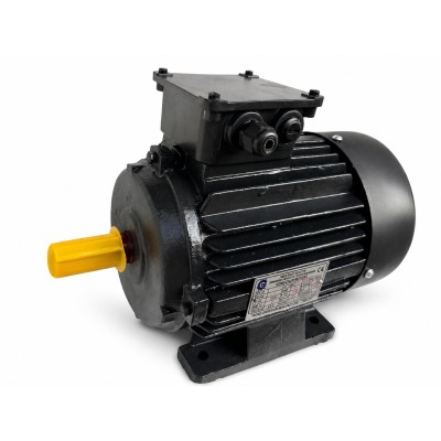 Unicorn 5 HP Three Phase Foot Mounted S4 Duty Induction Motor, 100L | EnvMart