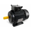 Unicorn 7.5 HP Three Phase S1 Duty Foot Mounted Motor, Frame 132S, 1450 RPM, 380V, IP55 | EnvMart