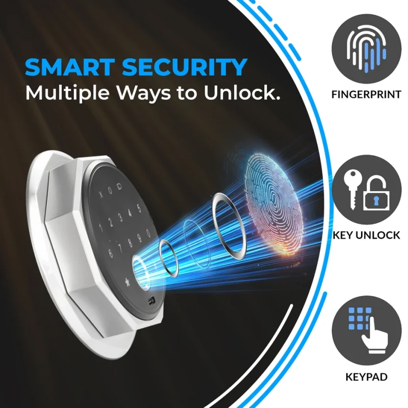 Electronic Safe Locker 20F Biometric, 8.5L, LED, Key Override | EnvMart