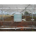  green-house-exhaust-fan-21874-1