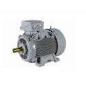 Siemens 1MB7563-1DA43-5AA4 25 HP Flame Proof Induction Motor IE3 415V 2 Pole | EnvMart
