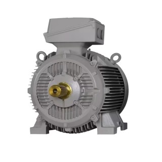 Siemens 1MB7563-1DA43-5AA4 25 HP Flame Proof Induction Motor IE3 415V 2 Pole | EnvMart