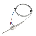 PT100 Temperature Sensor with 250mm Fiberglass Cable, 2-Wire RTD Probe | EnvMart