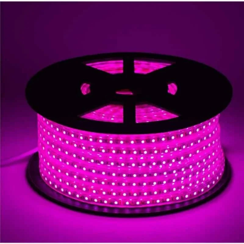 Ever Forever 10m Waterproof SMD LED Rope Light Pink Colour