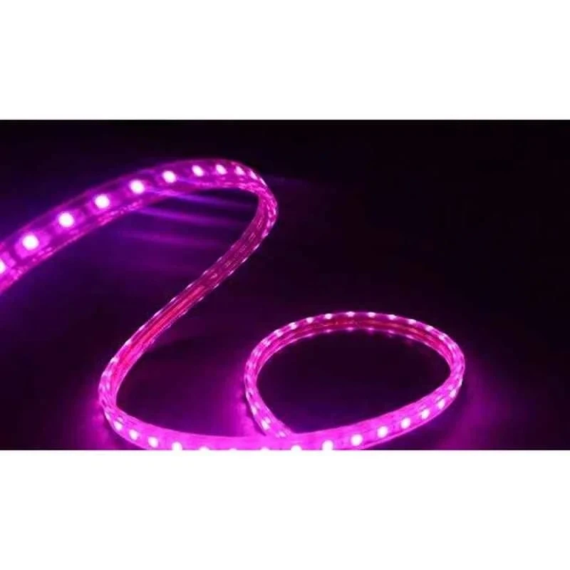 Ever Forever 10m Waterproof SMD LED Rope Light Pink Colour