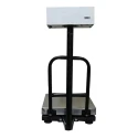 Metis Electronic Bench Weighing Scale, 75kg Capacity, 5g Accuracy, 350x350mm Platform