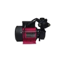 CRI Self Priming Monoblock Pump 1 HP 220V Cast Iron Body SHINE-100