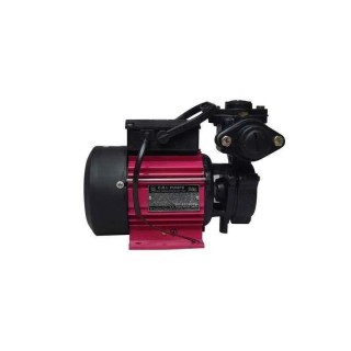 CRI Self Priming Monoblock Pump 1 HP 220V Cast Iron Body SHINE-100