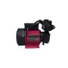 CRI Self Priming Monoblock Pump 1 HP 220V Cast Iron Body SHINE-100