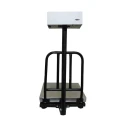 Metis Iron Platform Weighing Machine 250 kg, Digital, 20 g Accuracy, 20x20 inch Platform
