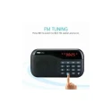 Portronics Plugs Black Portable Speaker with FM, Micro SD Card Support, 2.5W, 800mAh Battery, POR 141