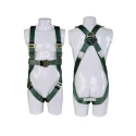 Heapro 1.8m Safety Harness with Scaffolding Hook and Energy Absorber, Durable Polyester Webbing, Green (HI-36)PP-D(HI-262)E