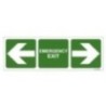 Emergency Exit With Both Side Arrow Sign