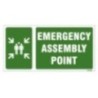 Emergency Assembly Point Sign