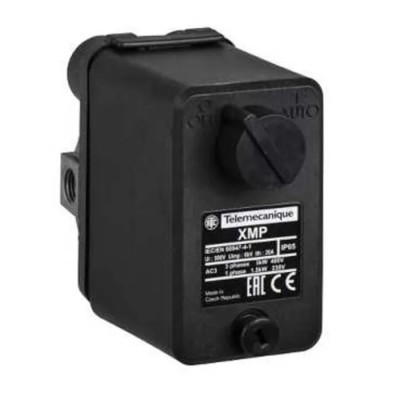 Telemecanique Sensors XMP Series Pressure Switch, 1.3–12 bar, Panel Mount, 400V AC Max, XMPE12C2431