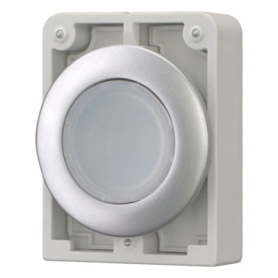 Eaton RMQ Titan M30 Series White Momentary Push Button Switch, 30 mm Cutout, IP67, Metal, Round 182925 M30C-FDL-W