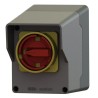 SANTON 3-Pole Wall Mount Isolator Switch, IP20, 25A, 15kW, 3 Phase, Red Handle