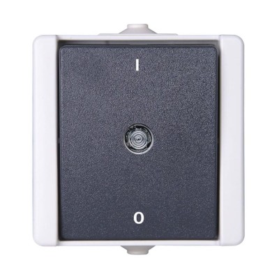 Kopp Grey Light Switch 1 Way Rocker 1 Gang IP44 Surface Mount 250V 10A Thermoplastic 540256000