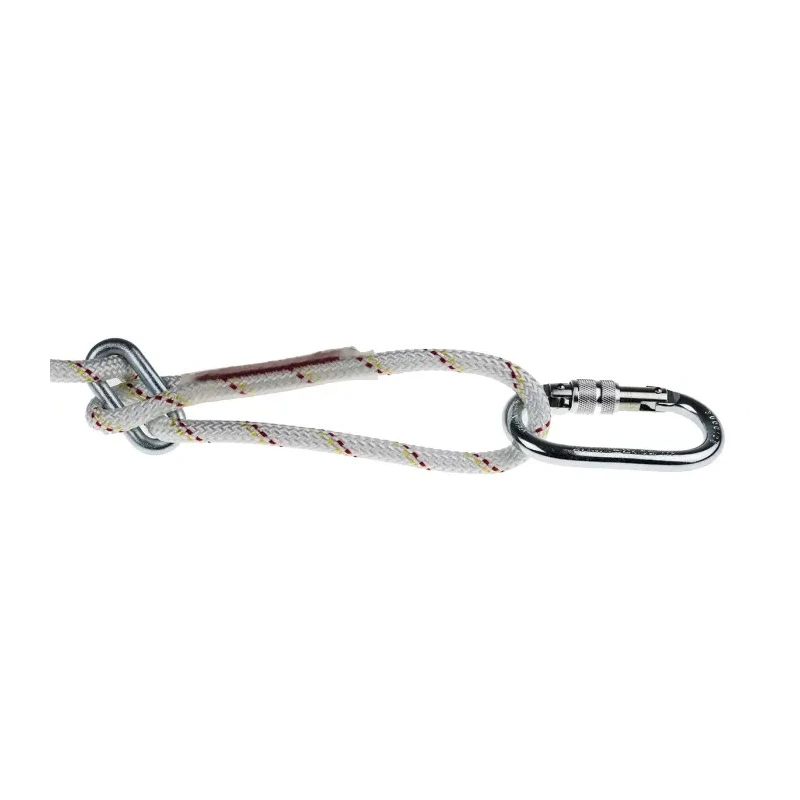 Protecta 2 m Work Positioning Lanyard with Screw Carabiner, Adjustable, Single Leg, 100 kg Capacity AL422/3