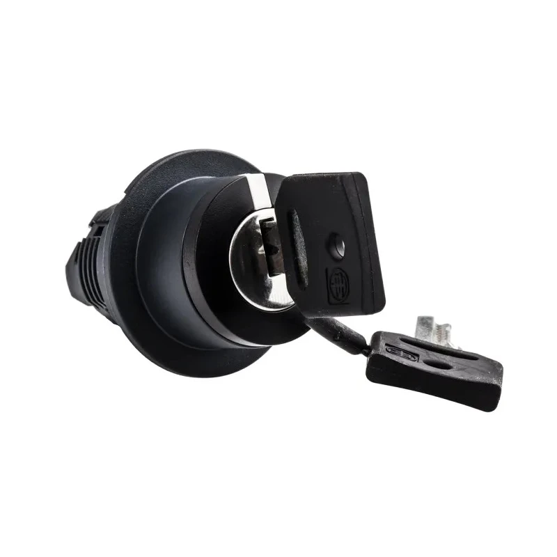 Schneider Electric Harmony 2-position Key Switch Head Spring Return 30 mm Cutout ZB5FG6