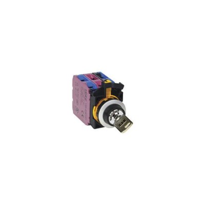 Idec IP65 Key Switch DPST 2-Way Spring Return Screw Terminal 