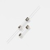 Wickmann Glass Cartridge Fuse 10A, Time Delay, 32V AC, 6.3 x 32 mm, T Type, Glass Body, Series 313 0313010.MX250P