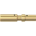 Staubli Female Crimp Contact 22A/35A, Minimum Wire Size 2.5 mm², Maximum Wire Size 4 mm², Gold Plated, for CT-E3-3 33.0131
