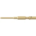 Staubli Male Crimp Contact, Gold Plated, 2A 3A 5A, Wire Size 0.25 mm², CT-E1 Series 33.0541