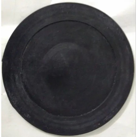 diaphragm-18379