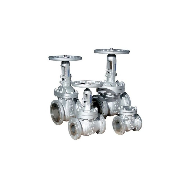 audco-gate-globe-check-valve-18395