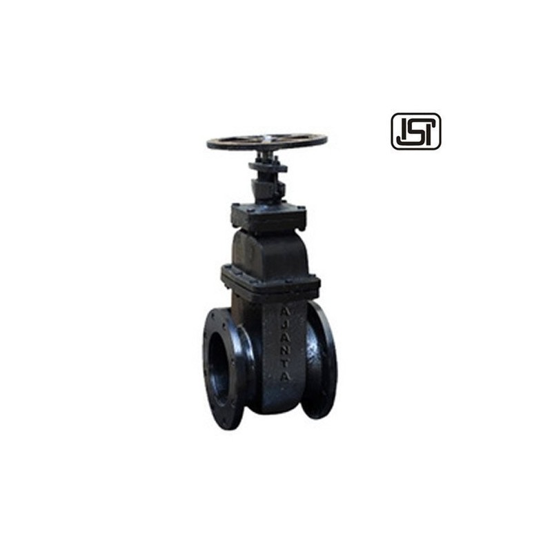 cast-iron-sluice-valve-15mm-18399