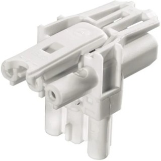 Wieland GST18i Series T-Distributor Female, 3-Pole, 20A, 3-Way, IP20 