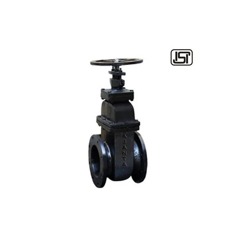 cast-iron-steel-gate-valve-18499