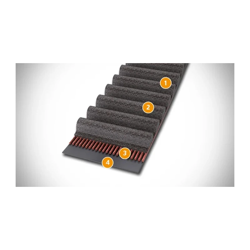 Contitech Timing Belt 480 8M 30 CXP, 60 Teeth, 480mm Length, Polyamide Fabric, Glass Cord, 30mm Width