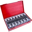 Teng Tools 15-Piece 1/2 in Drive Bit Socket Set, Metric Hex & TX, Chrome Vanadium, Satin Finish TTTXH15
