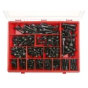 RS PRO Stainless Steel Hex Socket Drive Screw/Bolt Kit, 426 Pieces, Machine Screws, Black Oxide, DIN 912, 12-60mm, 278-102