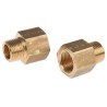 Legris Pneumatic Brass Fitting Male/Female 3/8 in NPT BSPT Nickel Finish, Max Temp 150°C 0167 17 18