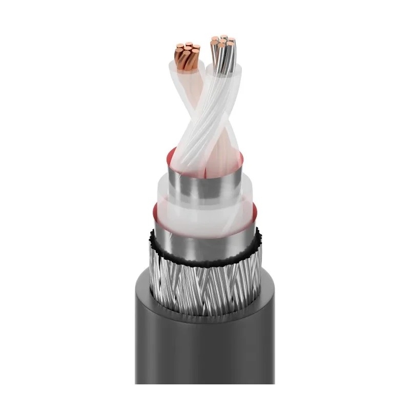 Belden 9207 Series Unscreened Black Twin Axial Cable, 8.38 mm OD, 152m, 100Ω Impedance, 20AWG, Polyethylene 9207 010U500