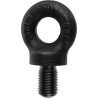 RS PRO Carbon Steel Eye Bolt, Galvanised, M16 Thread, 20 mm Thread Length, 20 mm Eye OD, 0.8 t Load Capacity 673-658