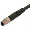 Binder Sensor Actuator Cable Male Straight to Unterminated Free End 3 Way to 4 Way Polyurethane 2m 60V IP67 79-3107-32-04