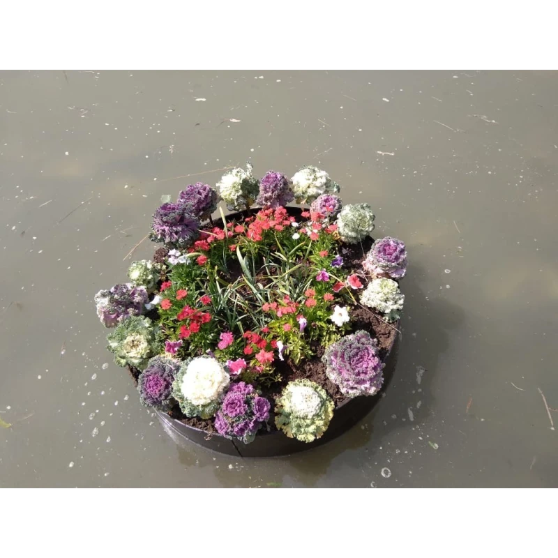  biological-floaters-2