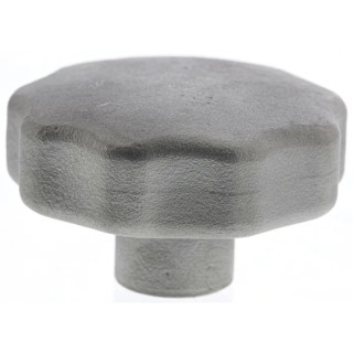 RS PRO Silver 304 Stainless Steel Clamping Knob, Multiple Lobes, M6 Threaded Through Hole 50 mm 478-999