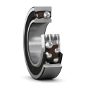SKF Self-Aligning Ball Bearing 2 Row, 20 mm Inside Diameter, 47 mm Outside Diameter, Non-Metallic Cage, 3.4 2204 E-2RS1TN9