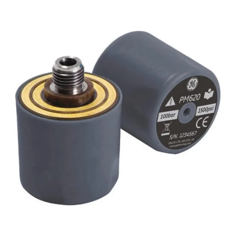 Druck Absolute Pressure Module for DPI 620 Series PM 620-165A-4685, Screw Fit, Digital Characterization, 0–100 Bar
