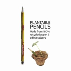 seed-pencil-pack-of-5-20079-2